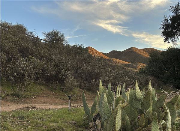 Agua Dulce Horse Ranch (8/13/2025 - Credits: Lisa Fara All rights reserved, property owner photographs)