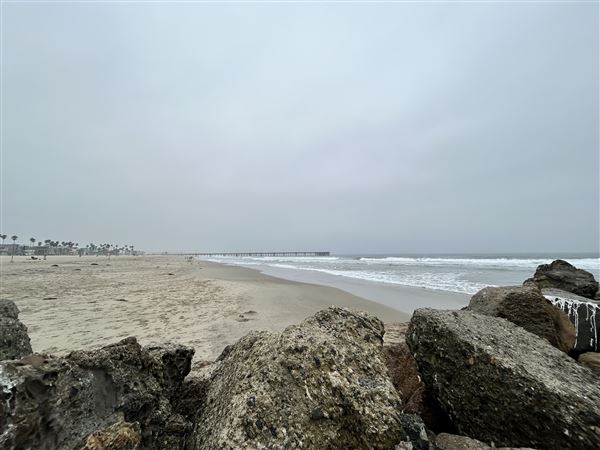 Venice Beach, Boardwalk, Pier & Recreation Center (8/14/2025 - Credits: Brandy Davis)