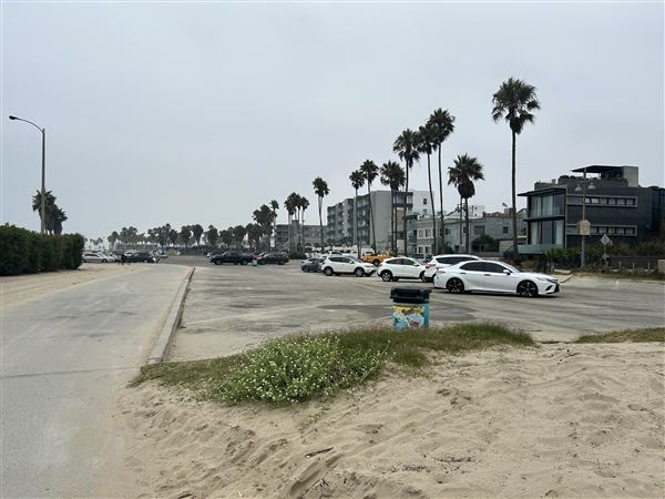 Venice Beach, Boardwalk, Pier & Recreation Center (8/14/2025 - Credits: Brandy Davis)