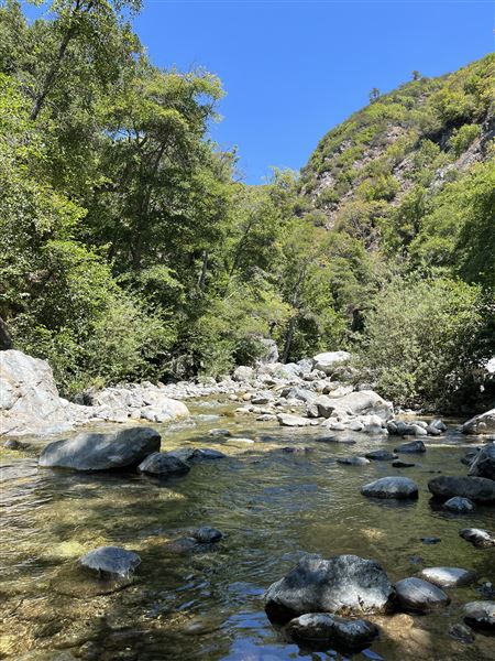 Pfeiffer Big Sur State Park (SP) (8/17/2025 - Credits: Melody Hildreth)