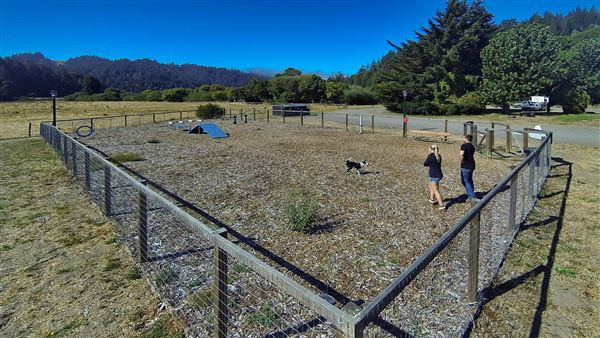 Casini Ranch Family Campground - Dog Park (8/21/2025 - Credits: Photo Courtesy of Sonoma County)