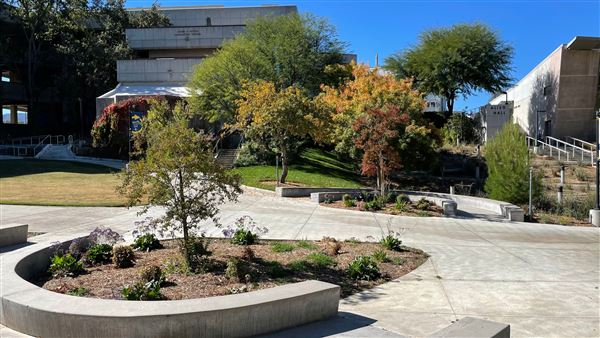 College of the Canyons - Honor Grove Quad (11/3/2021 - Credits: Leo Fialho)