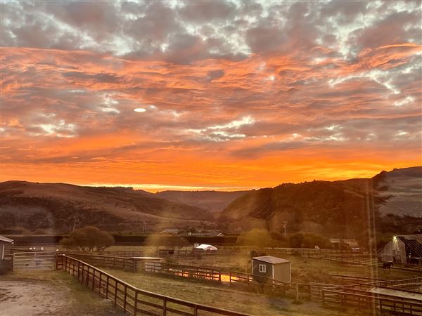 131 Tunitas Creek Rd. (1/1/2024 - Credits: Ashley Kleckner)
