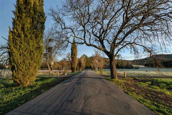 Sonoma State Historic Park (SHP) / General Vallejo’s Home / The Barracks / Mission San Francisco Solano (2/11/2025 - Credits: Brian Baer)
