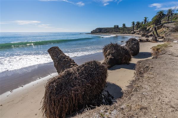 Refugio State Beach (SB) (1/6/2025 - Credits: Brian Baer)