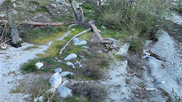 Cattle Canyon Bridge - Angeles National Forest (3/7/2022 - Credits: Leo Fialho)