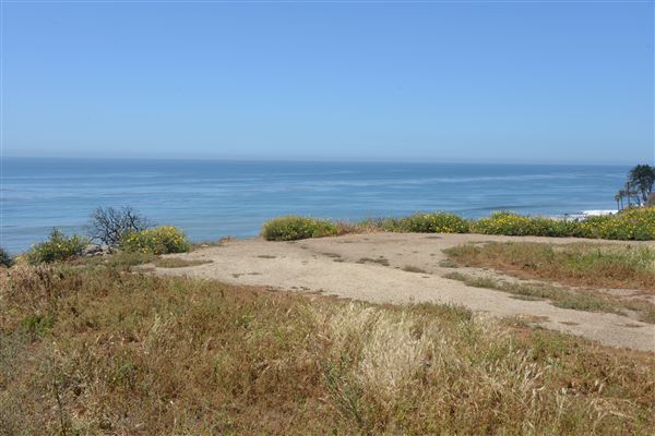 El Pescador State Beach @ Robert H. Meyer Memorial State Beach (SB) - CFC (4/17/2019 - Credits: Leo Fialho)