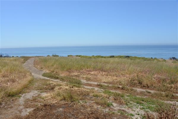 El Pescador State Beach @ Robert H. Meyer Memorial State Beach (SB) - CFC (4/17/2019 - Credits: Leo Fialho)