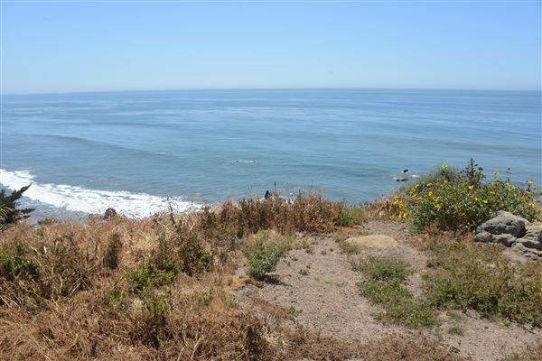 El Pescador State Beach @ Robert H. Meyer Memorial State Beach (SB) - CFC (4/17/2019 - Credits: Leo Fialho)