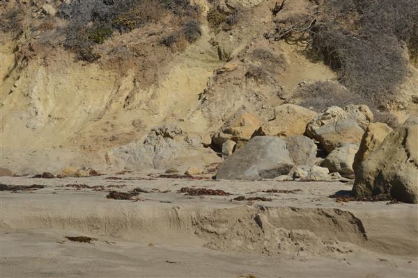 El Pescador State Beach @ Robert H. Meyer Memorial State Beach (SB) - CFC (11/14/2017 - Credits: Leo Fialho)