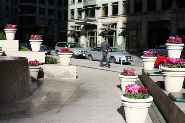 Financial District, San Francisco - California St. (10/29/2025 - Credits: San Francisco City & County Film Commission)