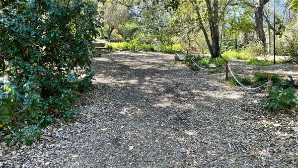 Descanso Gardens - California Garden (3/7/2022 - Credits: Leo Fialho)
