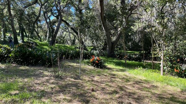 Descanso Gardens - Camellia Forest (3/7/2022 - Credits: Leo Fialho)
