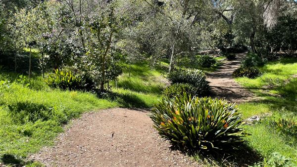 Descanso Gardens - Camellia Forest (3/7/2022 - Credits: Leo Fialho)