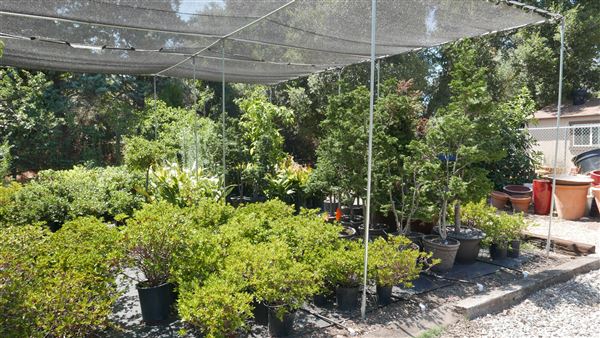 Descanso Gardens - Plant Propagation Greenhouse (7/26/2017 - Credits: Leo Fialho)