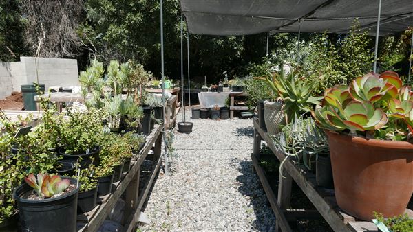 Descanso Gardens - Plant Propagation Greenhouse (7/26/2017 - Credits: Leo Fialho)