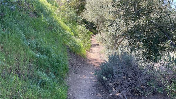 Descanso Gardens - Hopes Garden (3/7/2022 - Credits: Leo Fialho)