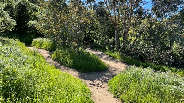 Descanso Gardens - Hopes Garden (3/7/2022 - Credits: Leo Fialho)