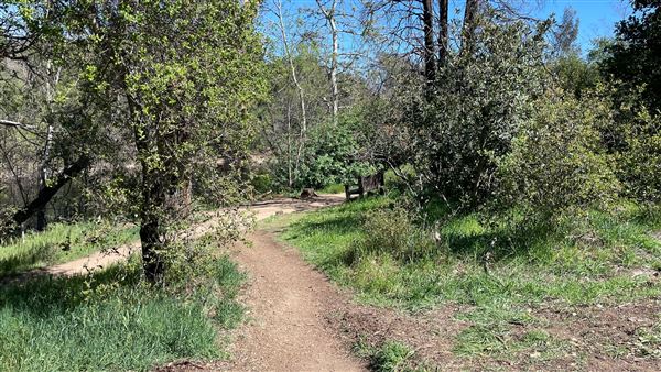 Descanso Gardens - Lake (3/7/2022 - Credits: Leo Fialho)