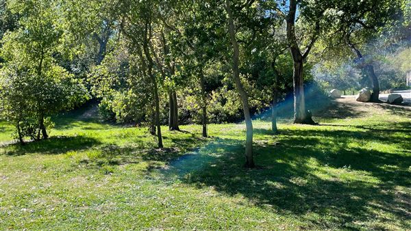 Descanso Gardens (3/7/2022 - Credits: Oak Grove)