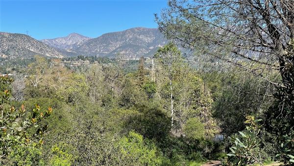Descanso Gardens - Oak Woodland (3/7/2022 - Credits: Leo Fialho)