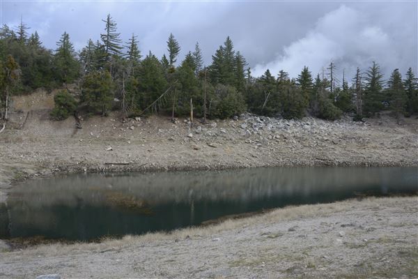 Crystal Lake Recreation Area / Campground - Angeles National Forest (1/30/2015 - Credits: Leo Fialho)
