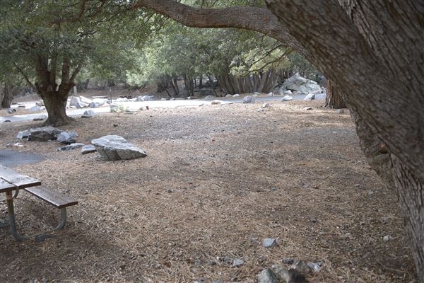 Crystal Lake Recreation Area / Campground - Angeles National Forest - Camping Loop A - Site 2 (1/30/2015 - Credits: Leo Fialho)