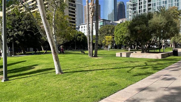 Grand Hope Park (3/21/2022 - Credits: Leo Fialho)