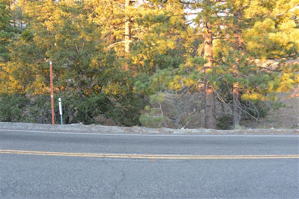 Angeles Crest Highway - SR2 - MM 56.0 - 57.0 (Outside TMZ) (7/28/2017 - Credits: Leo Fialho)