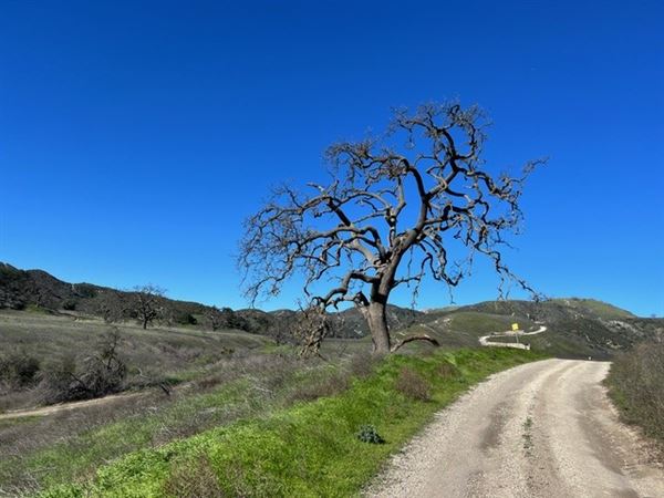 Big Sky Movie Ranch - Roads & Vistas & Forest (11/17/2025 - Credits: Owner)