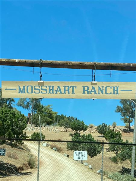 Mosshart Rance (11/5/2025 - Credits: submitted by: Kevin Leonard)