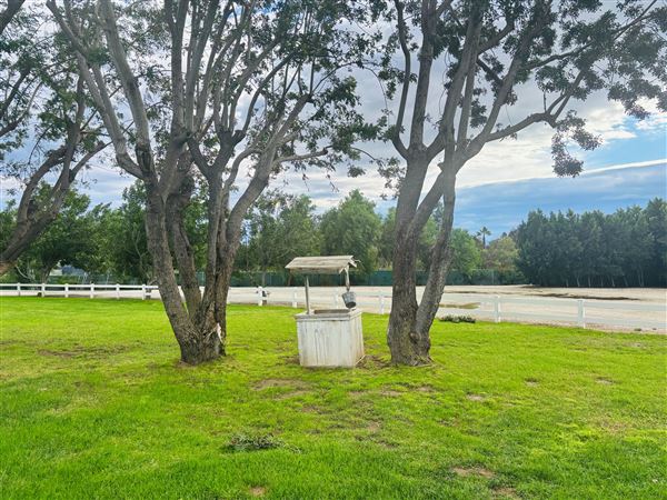 The Farm (11/22/2025 - Credits: Brandy Davis)