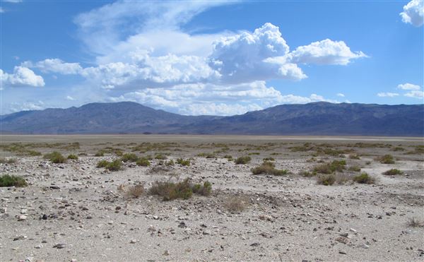 Panamint Dry Lake - BLM (12/4/2025 - Credits: Jesse Pluim - Bureau of Land Management)