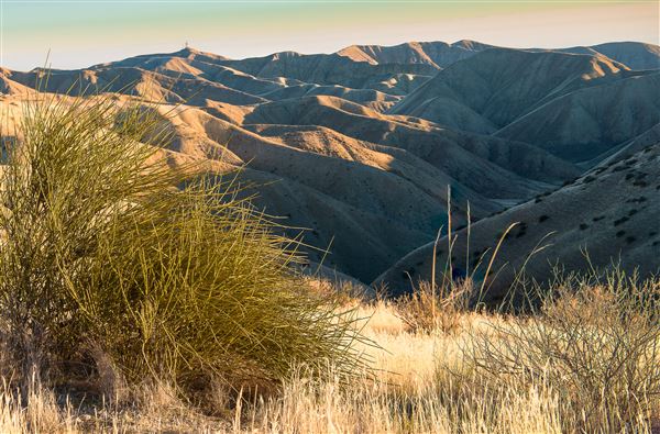 Panoche Hills - BLM (12/8/2025 - Credits: Jesse Pluim - Bureau of Land Management)