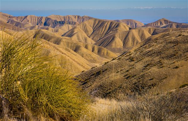Panoche Hills - BLM (12/8/2025 - Credits: Jesse Pluim - Bureau of Land Management)