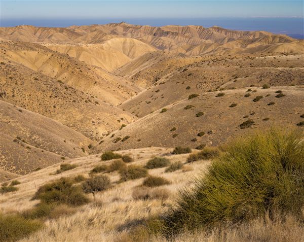 Panoche Hills - BLM (12/8/2025 - Credits: Jesse Pluim - Bureau of Land Management)