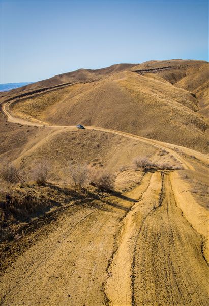 Panoche Hills - BLM (12/8/2025 - Credits: Jesse Pluim - Bureau of Land Management)