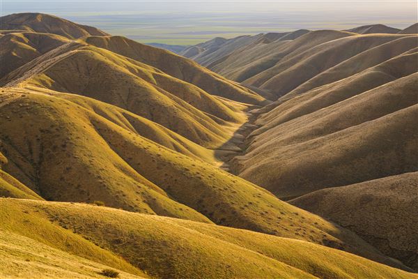 Panoche Hills - BLM (12/8/2025 - Credits: Jesse Pluim - Bureau of Land Management)