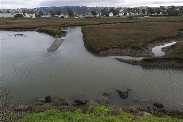Albany State Marine Reserve - State Lands Commission (SLC) (2/2/2016 - Credits: Brian Baer)