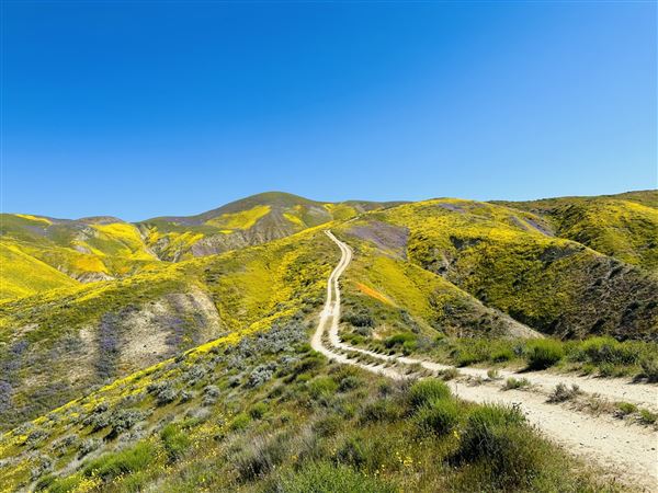 Carrizo Plain National Monument (12/11/2025 - Credits: Russ Namitz - Bureau of Land Management)