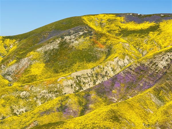 Carrizo Plain National Monument (12/11/2025 - Credits: Russ Namitz - Bureau of Land Management)