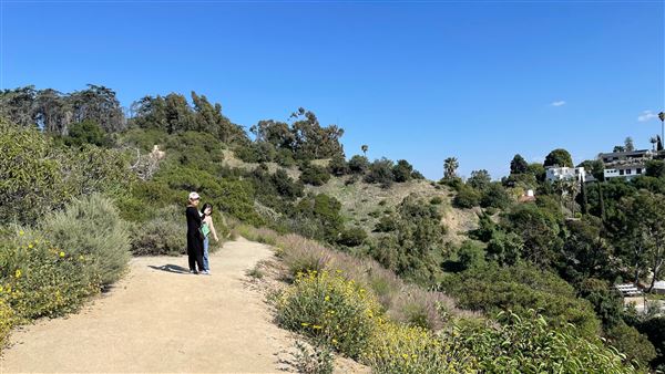 Griffith Park Redwoods - Cedar Grove - Cedar Grove Trail (3/16/2022 - Credits: Leo Fialho)