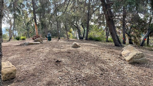 Griffith Park Redwoods - Cedar Grove - Cedar Grove (12/10/2021 - Credits: Leo Fialho)