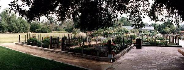 Los Angeles County Arboretum (12/31/2003)
