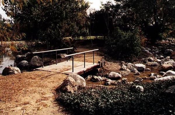 Los Angeles County Arboretum (12/31/2003)