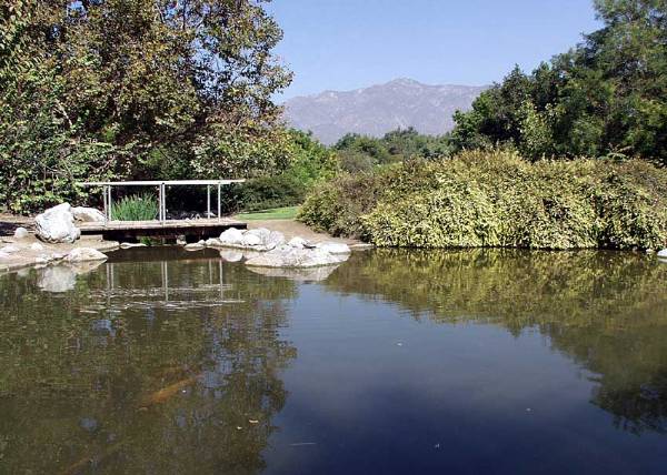 Los Angeles County Arboretum (12/31/2003)