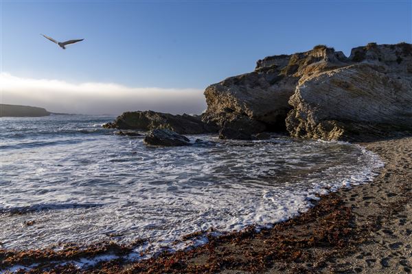 Montana de Oro State Park (SP) (12/1/2021 - Credits: Brian Baer)