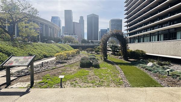 LADWP Headquarters / John Ferraro Building (2/25/2026 - Credits: Brandy Davis)