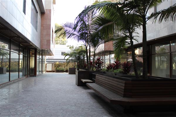 5245 Santa Monica Blvd (3/10/2026 - Credits: Tree4ort)