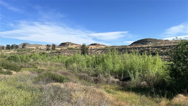 Alberhill Quarry (3/28/2026 - Credits: Brandy Davis)